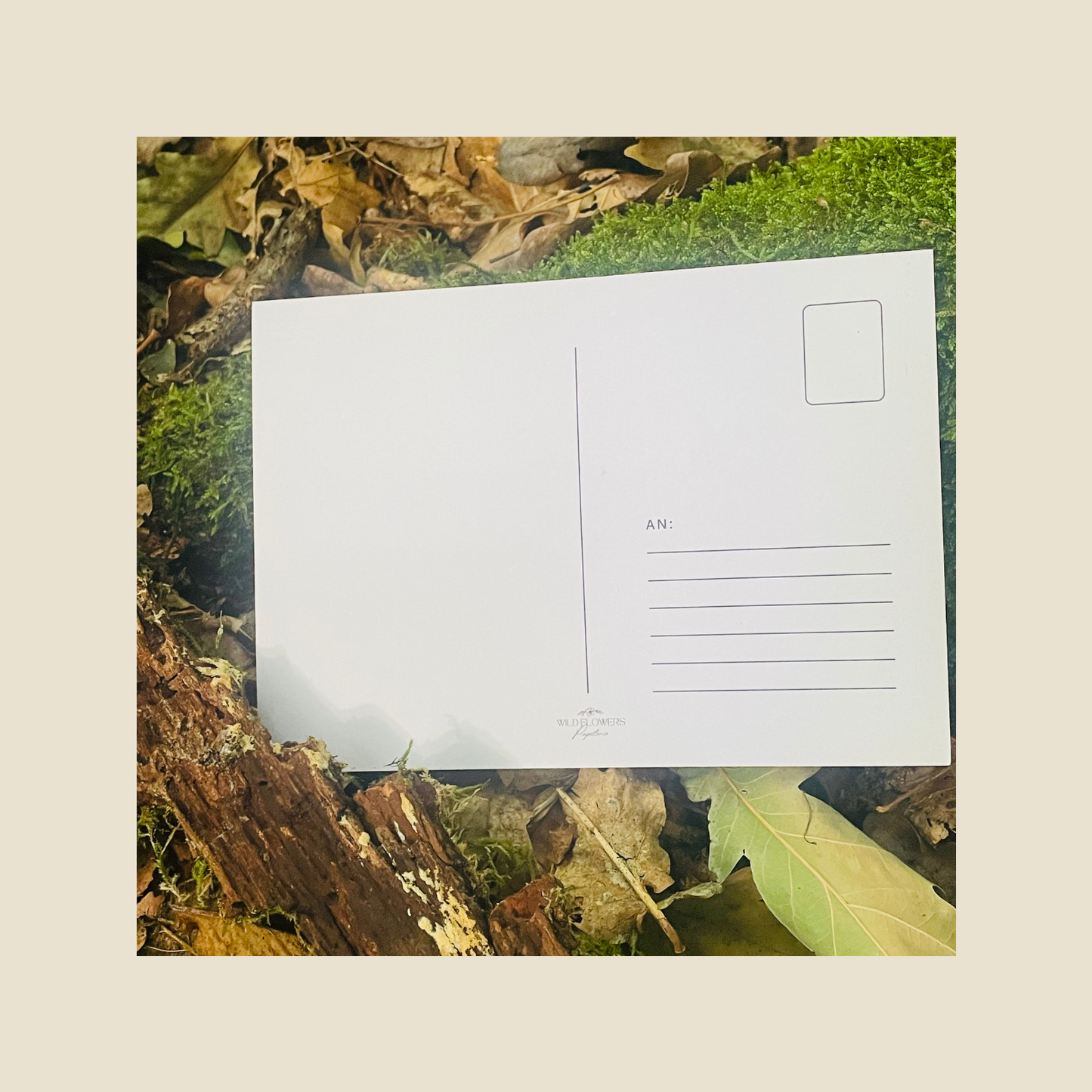 Handillustrierte Postkarten