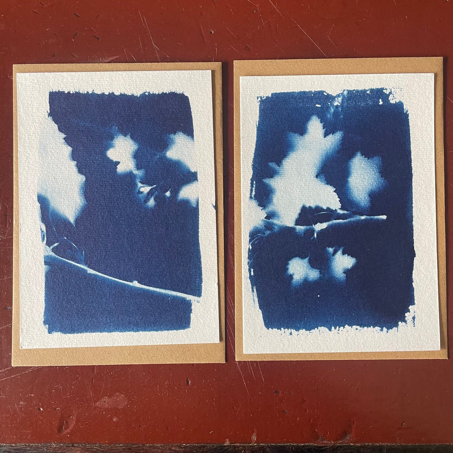 Cyanotypie-Set "Blumenpoesie" - Fine Art Print & Karten