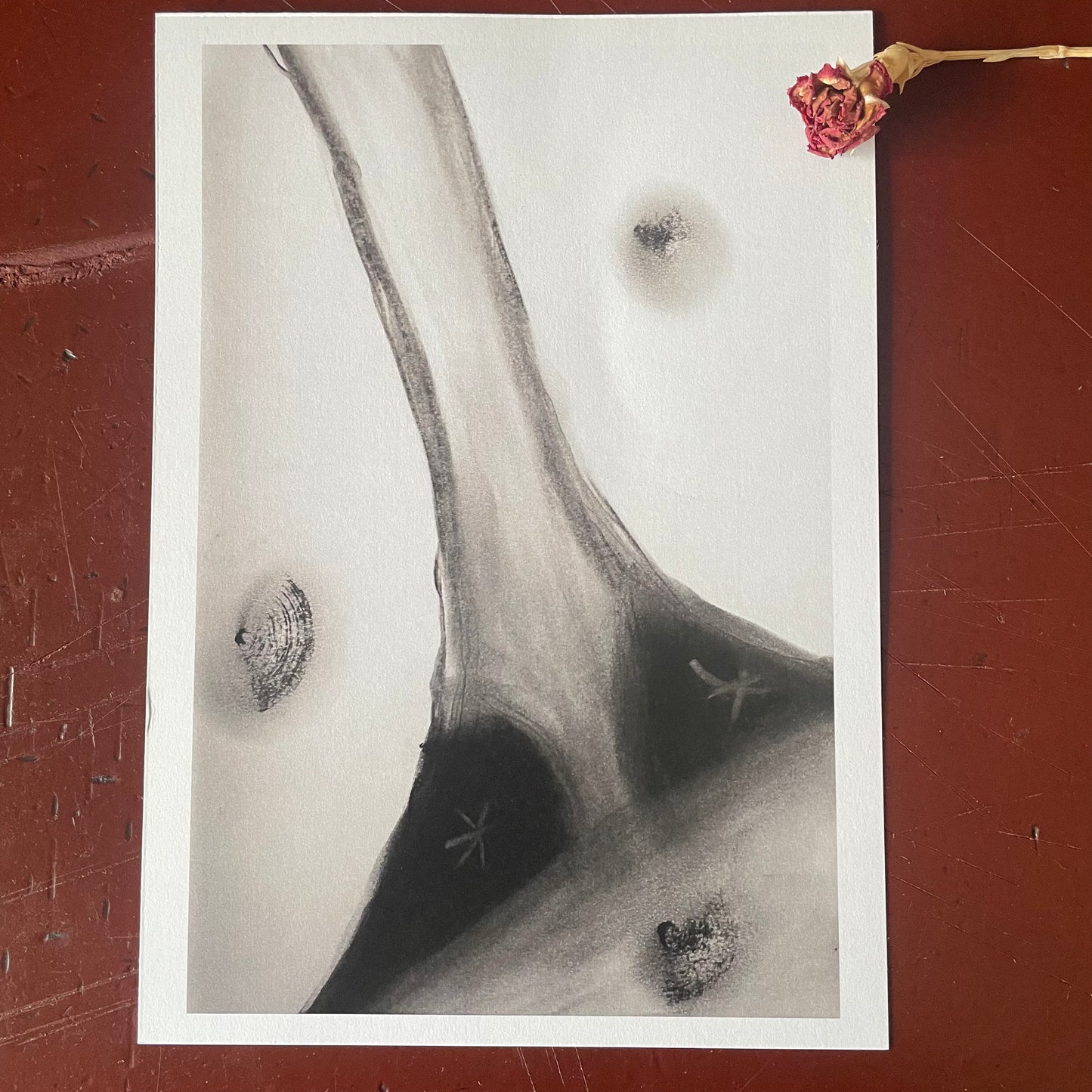 „Stille Spur“ – Zeichnung mit Graukreiden & Kohle als Karte oder Print (A6 | A5 | Set)